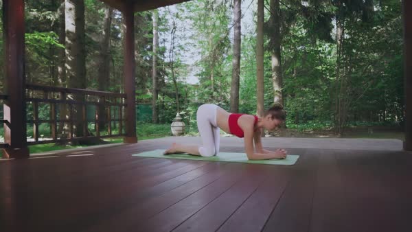 preview yoga lesson