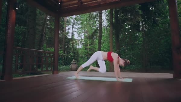 preview yoga lesson