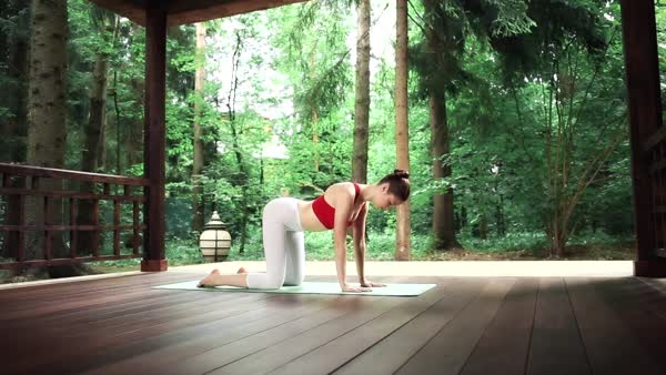 preview yoga lesson