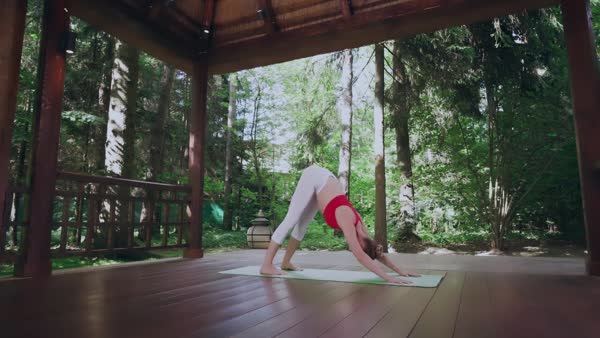 preview yoga lesson