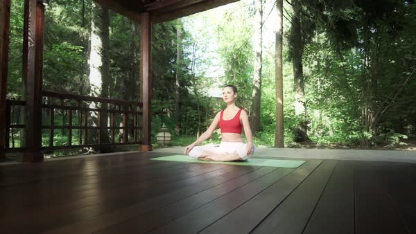 preview yoga meditation 