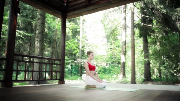 preview yoga meditation 