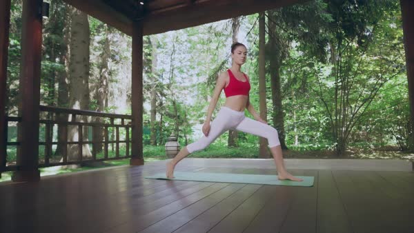 preview yoga lesson