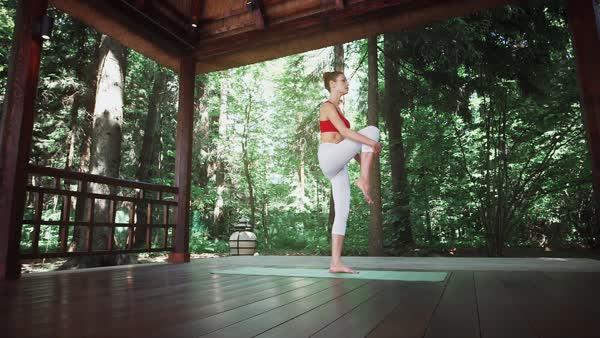 preview yoga lesson