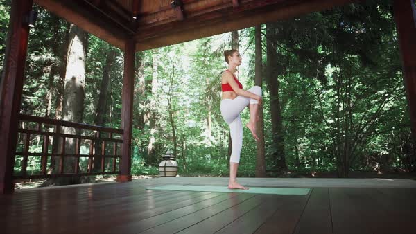 preview yoga lesson
