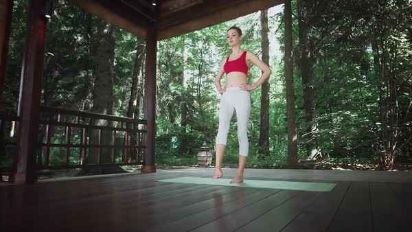preview yoga lesson