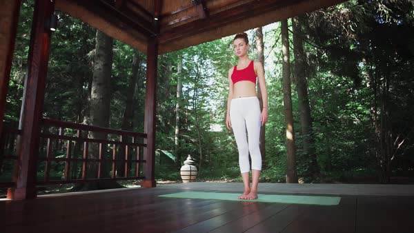 preview yoga lesson