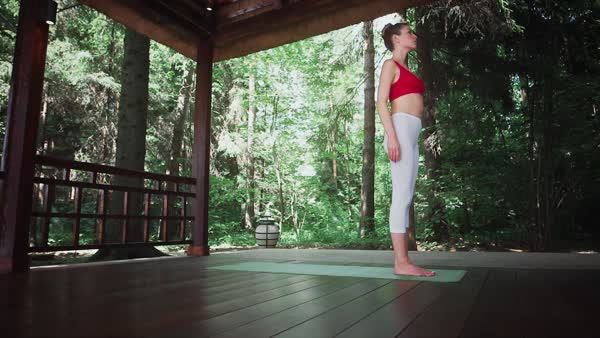 preview yoga lesson
