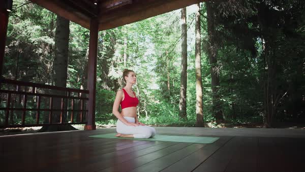 preview yoga lesson
