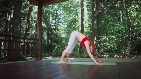 preview yoga lesson