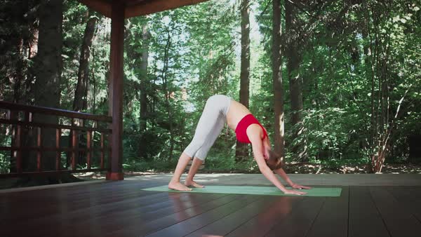 preview yoga lesson