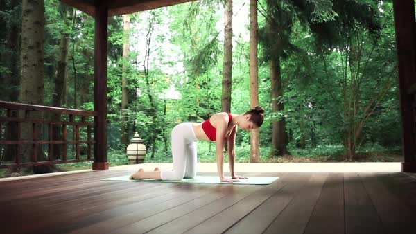 preview yoga lesson