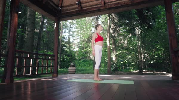 preview yoga lesson