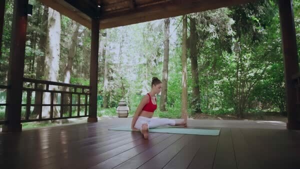 preview yoga lesson
