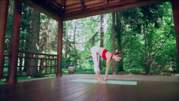 preview yoga lesson