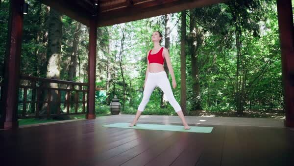 preview yoga lesson