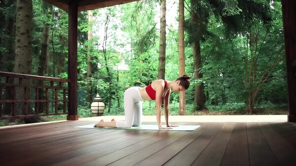 preview yoga lesson