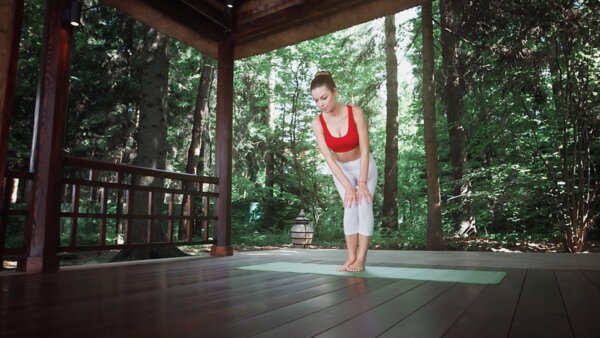 preview yoga lesson
