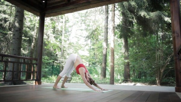 preview yoga lesson