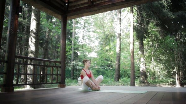 preview yoga lesson