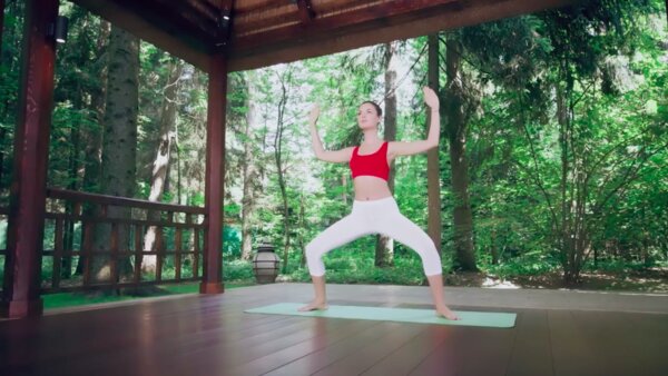 preview yoga lesson