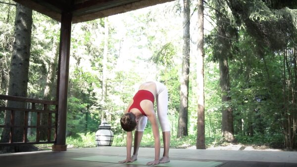 preview yoga lesson