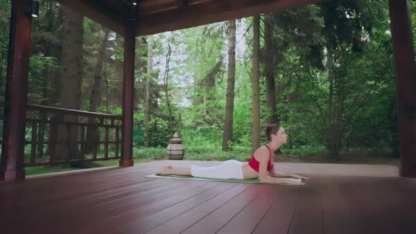 preview yoga lesson