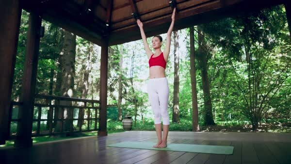 preview yoga lesson