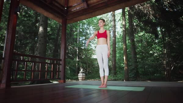 preview yoga lesson