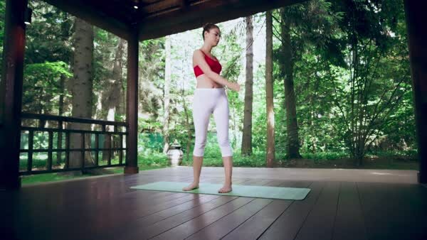 preview yoga lesson