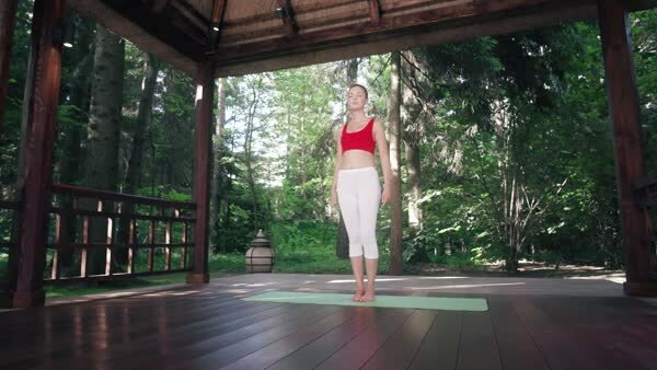 preview yoga lesson