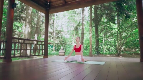 preview yoga lesson