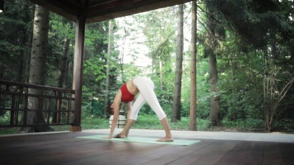 preview yoga lesson