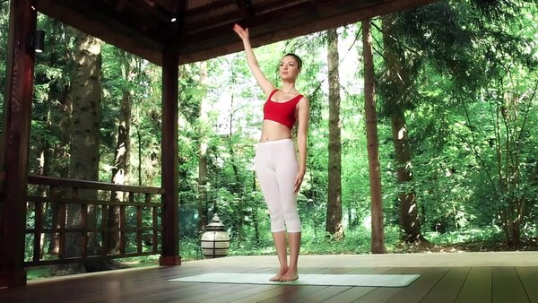 preview yoga lesson