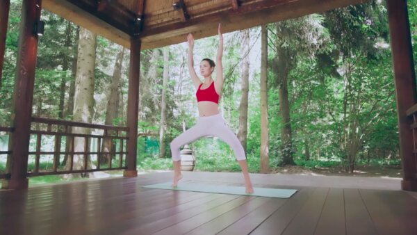 preview yoga lesson