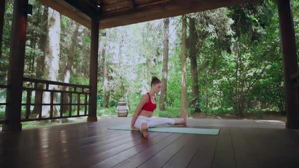 preview yoga lesson