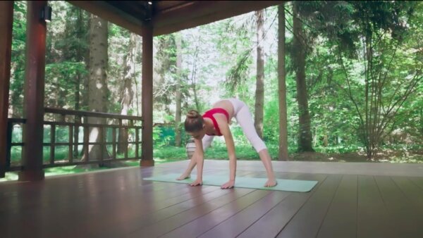 preview yoga lesson