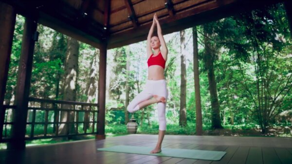 preview yoga lesson