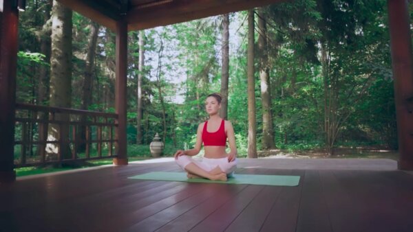 preview yoga lesson